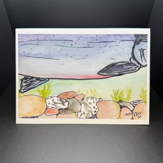 Fish Belly Greetings 5"x 7" Greeting Card