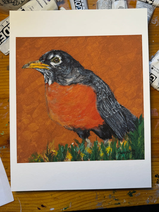 American Robin Limited Edition Art Prints