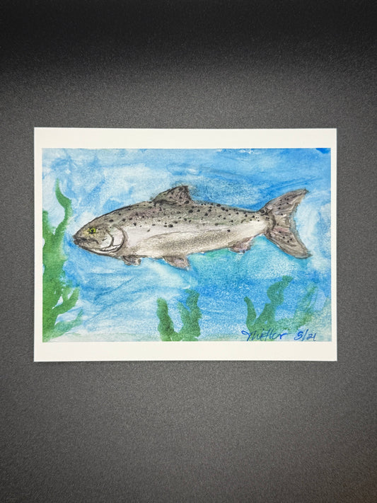 King 4" x 5" Blank Notecard