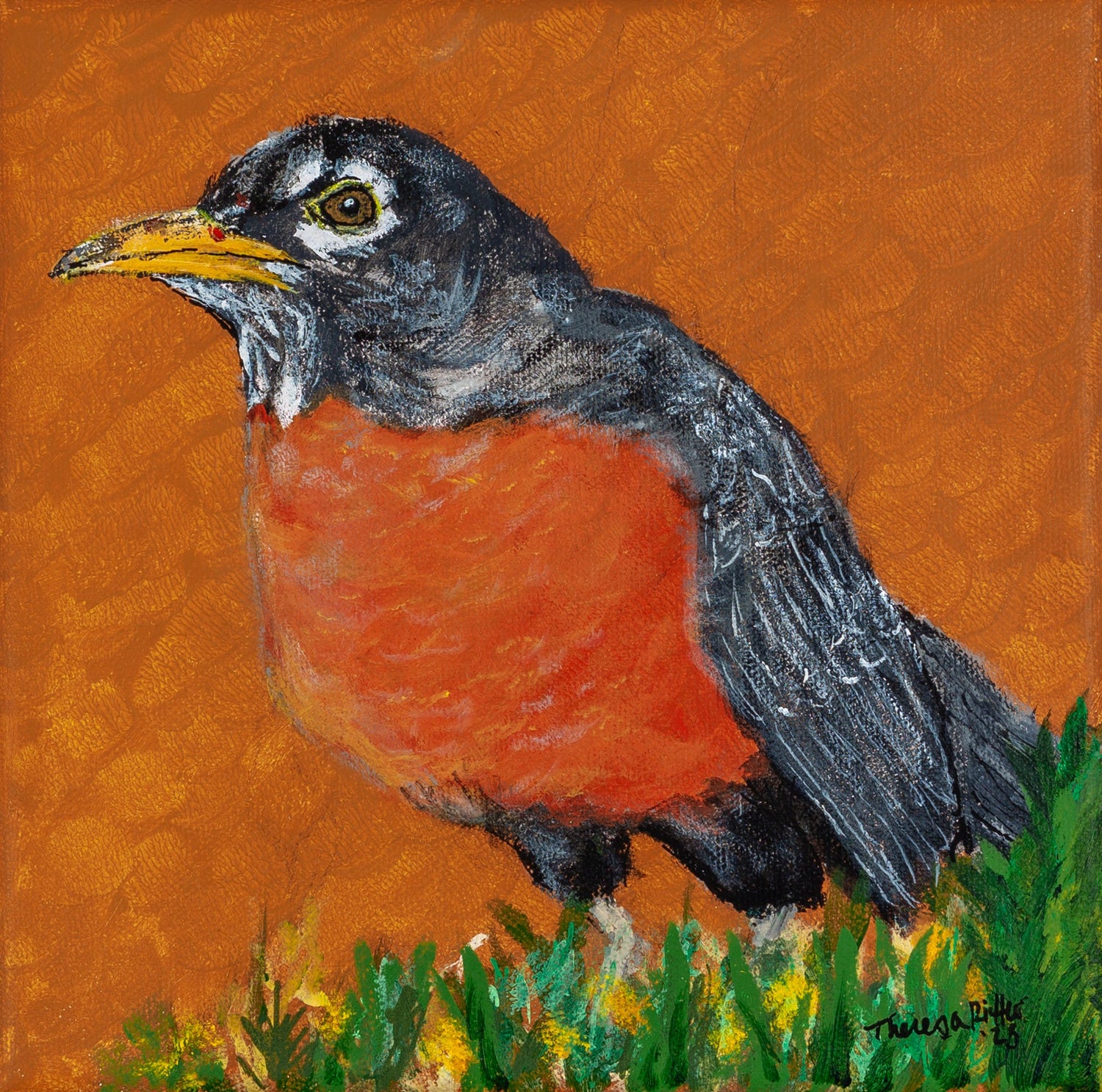 American Robin painting 