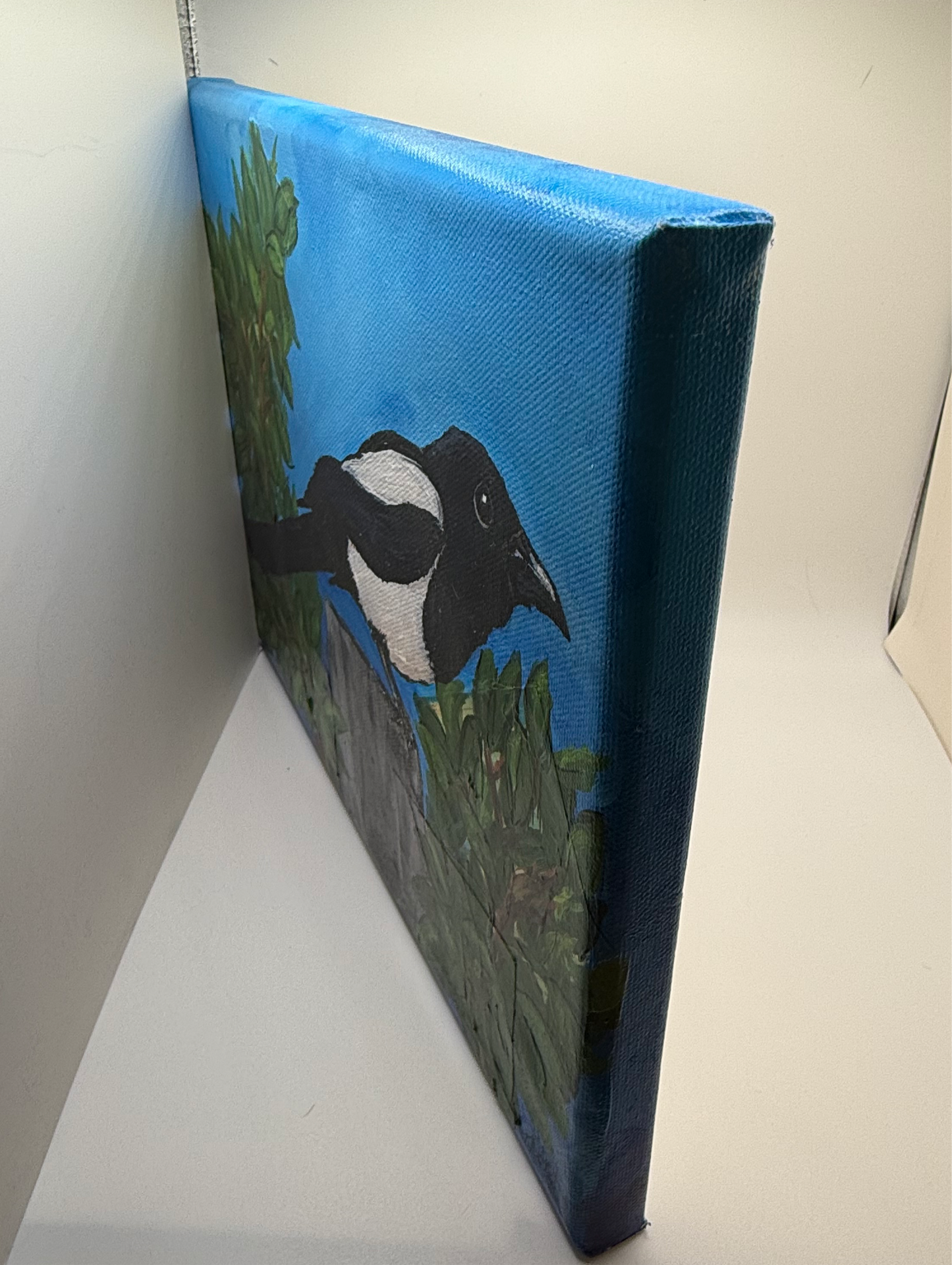 Maggie the Black-Billed Magpie 9”x12”