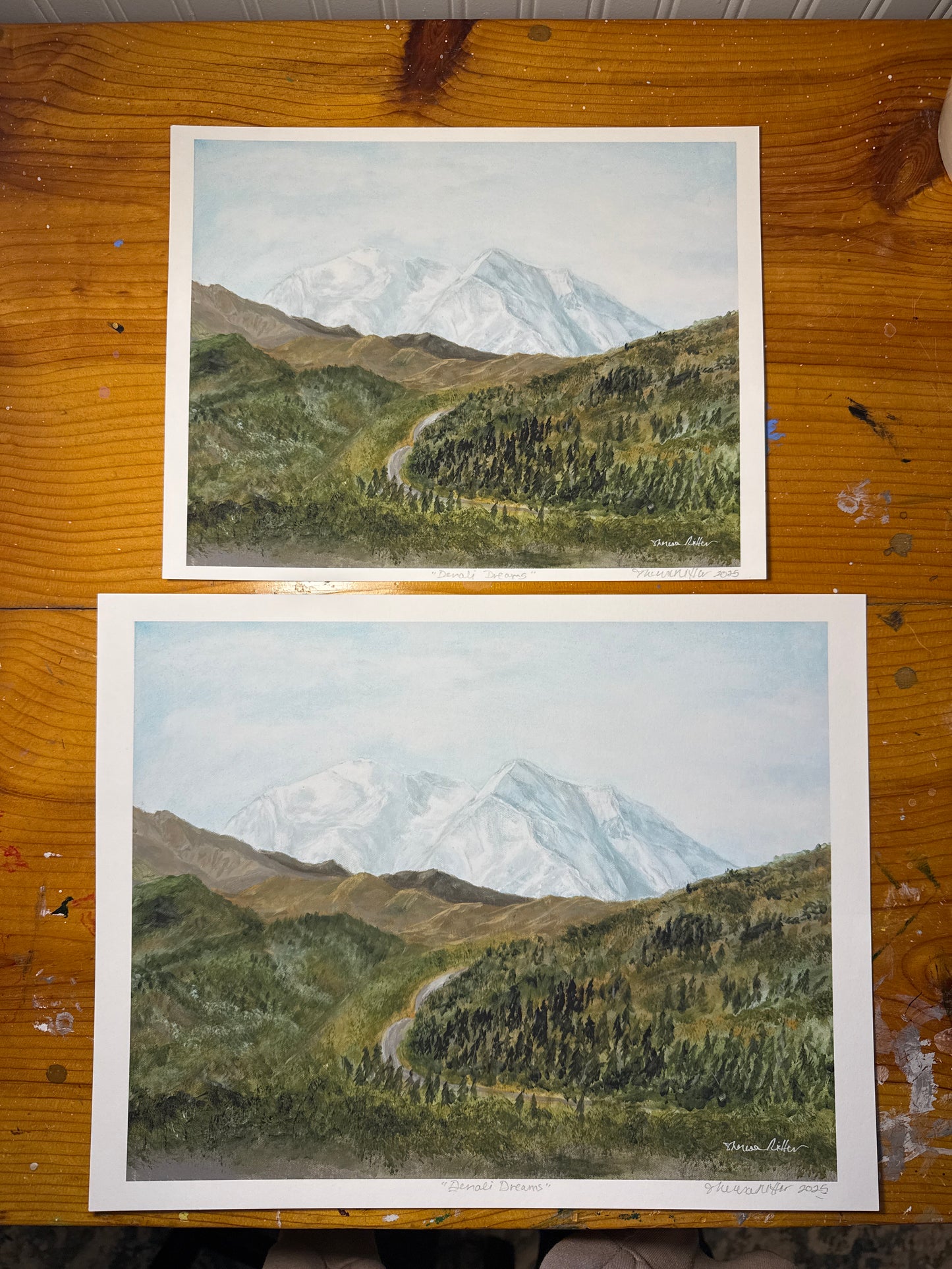 Denali Dreams Art Prints