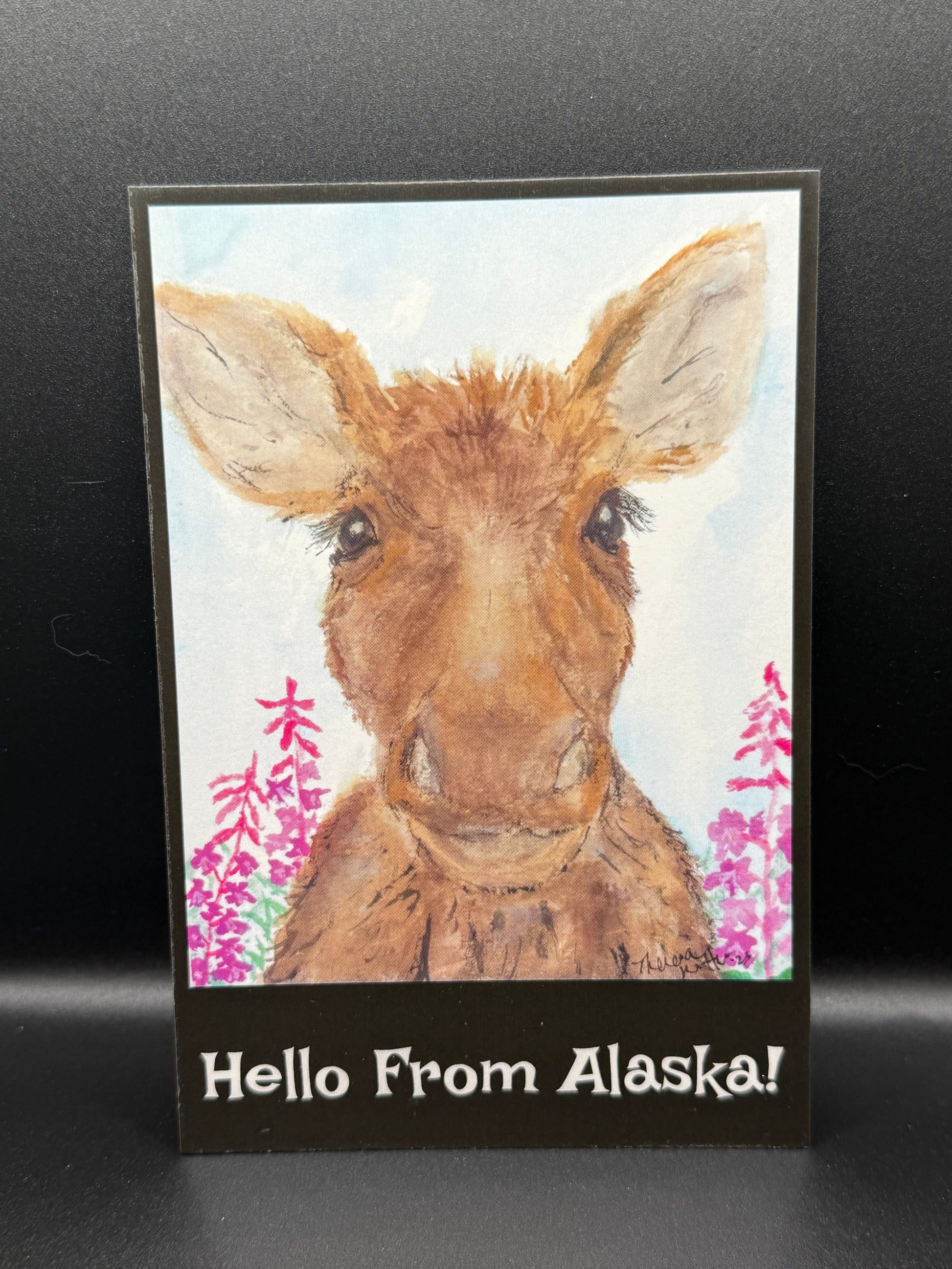 postcard with cute moose and long eyelashes with text reading hello from alaska