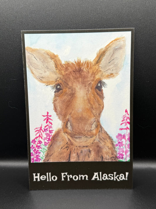 postcard with cute moose and long eyelashes with text reading hello from alaska