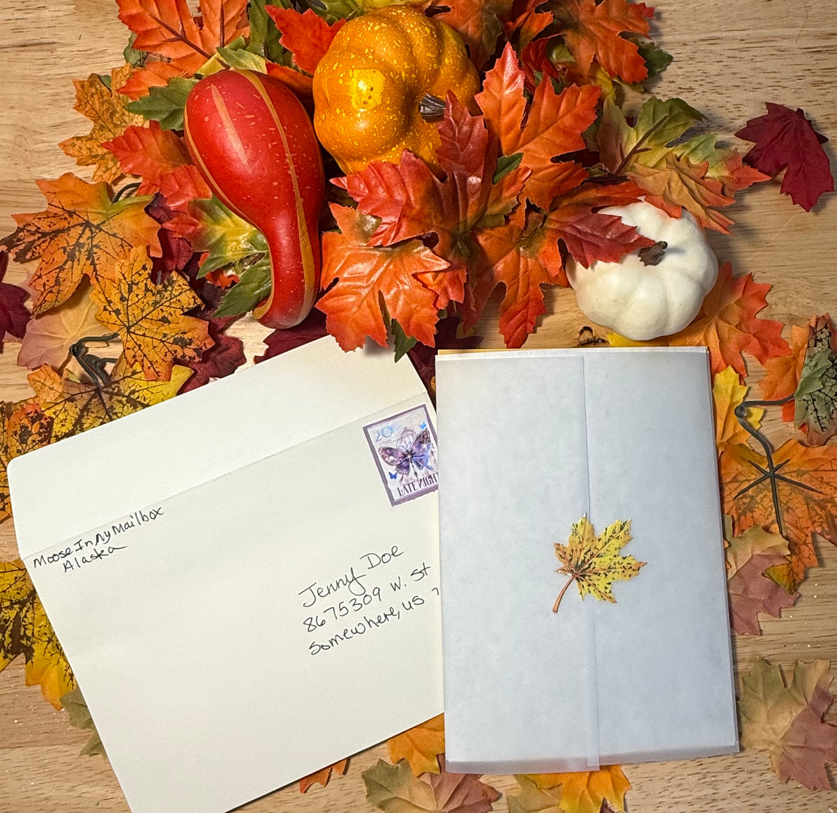 image of mailclub envelope & contents on fall leaves
