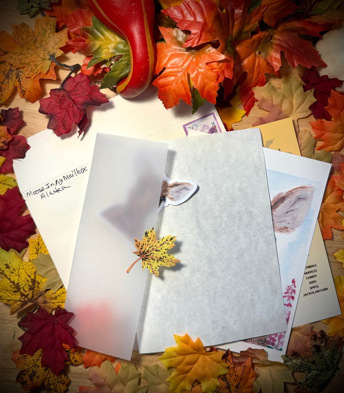 image of mailclub envelope & contents on fall leaves